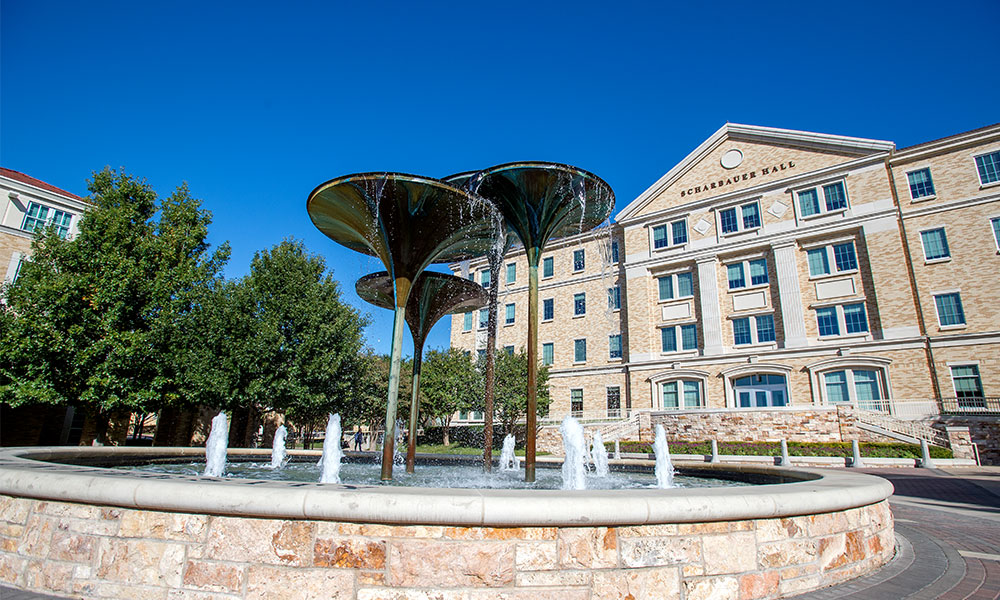 Frog Fountain with Scharbauer Hall in the background